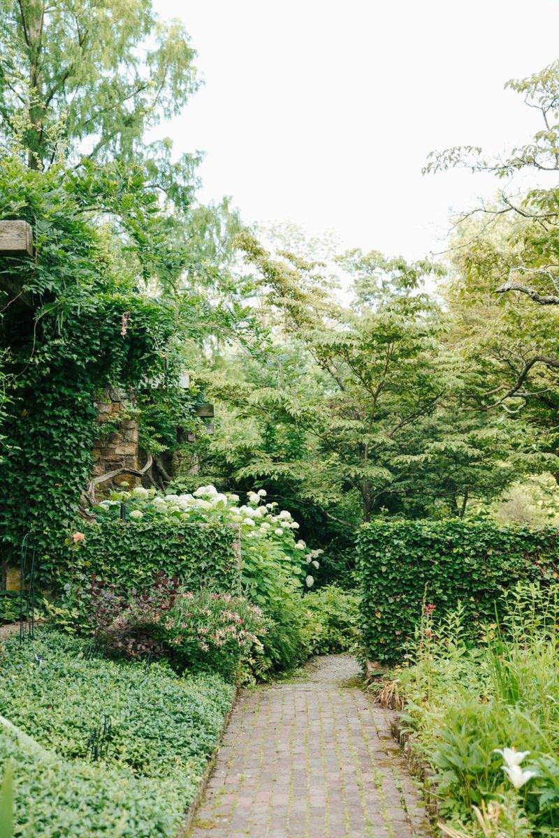 小さなスペースでも楽しめる和モダンな植栽デザイン